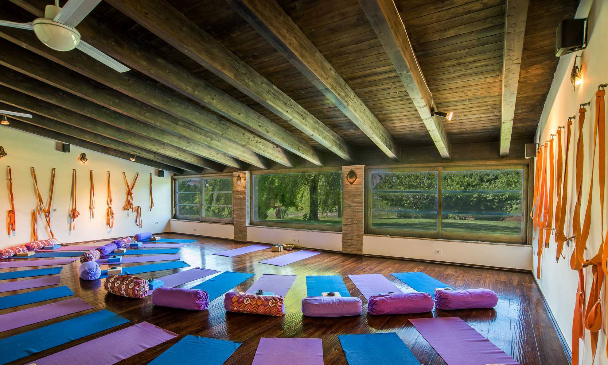 20626815_1871031239636756_8560002629029124304_o